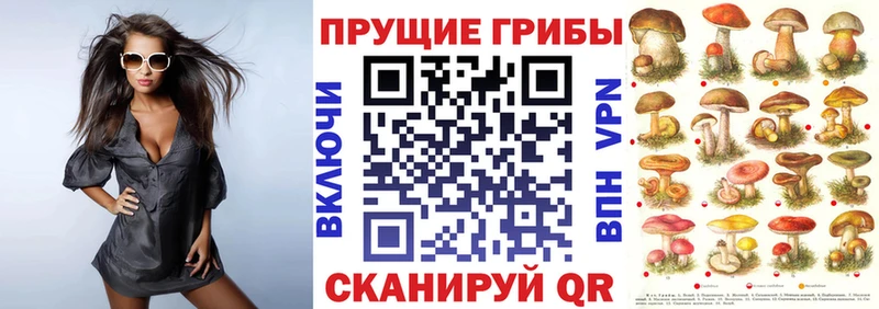 Галлюциногенные грибы Psilocybine cubensis  закладка  Комсомольск 